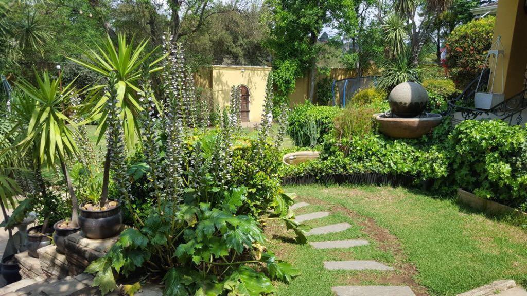 Villa Mikamora Johannesburg Buitenkant foto